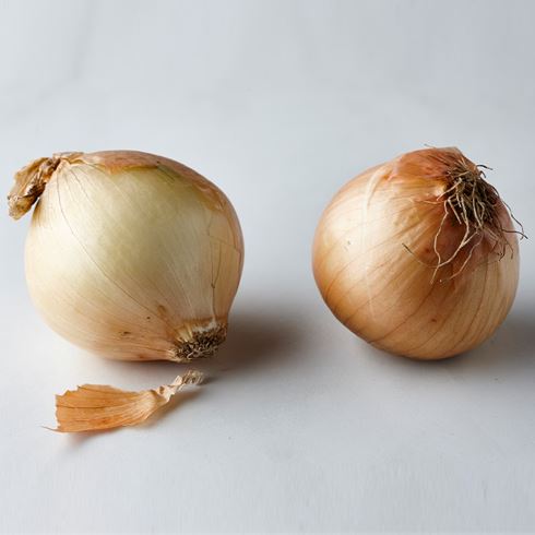 Yellow Onion (Unpeeled) 껍질 양파 500g