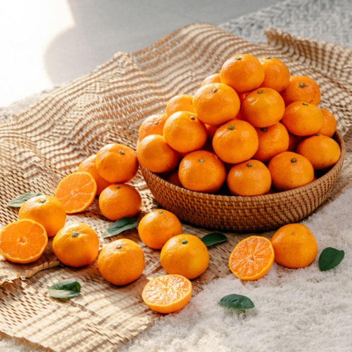 Mandarin Orange Storage Tips: Keep Your Jeju Tangerines Fresh
