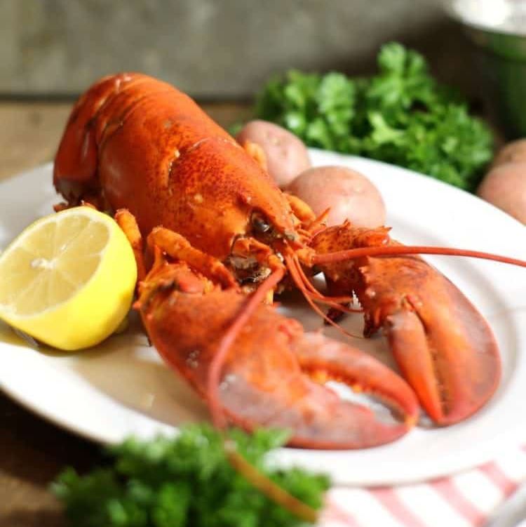 Recipe - Steamed Lobster