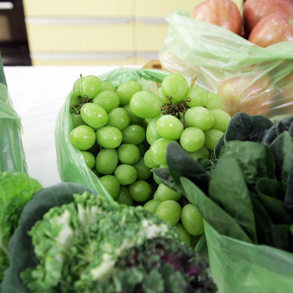 Food Storage Plastic Keeping Bag Small & Medium Sizes 신선 유지 키핑백 (10pcs) | Fresh Master