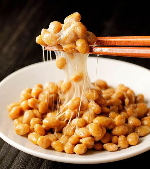 Fresh Natto 풀무원 생나또 | Pulmuone