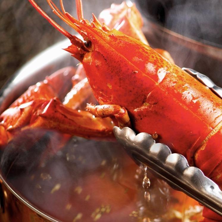 Frozen Canadian Lobster 캐나다 자숙랍스터