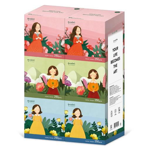 Character Mini Beauty Facial Tissue Paper 캐릭터 미니 미용티슈 (250 Sheets X 6 Boxes) | HANYEJI