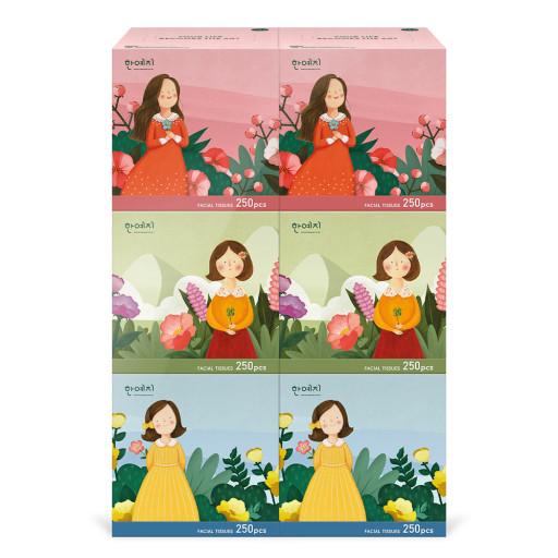 ตัวละครมินิความงามกระดาษทิชชูใบหน้า캐릭터미니미용티슈 (250 แผ่น x 6 กล่อง) | hanyeji