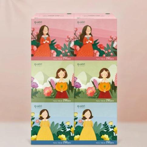 ตัวละครมินิความงามกระดาษทิชชูใบหน้า캐릭터미니미용티슈 (250 แผ่น x 6 กล่อง) | hanyeji